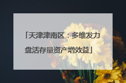 天津津南区：多维发力盘活存量资产增效益