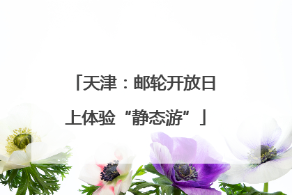 天津：邮轮开放日上体验“静态游”