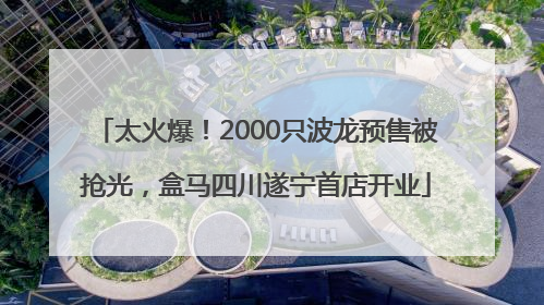 太火爆！2000只波龙预售被抢光，盒马四川遂宁首店开业