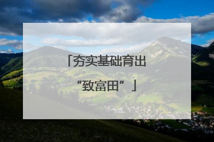 夯实基础育出“致富田”