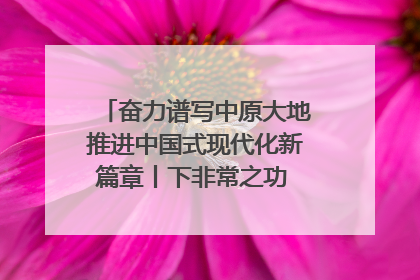奋力谱写中原大地推进中国式现代化新篇章丨下非常之功 战非常“三夏”
