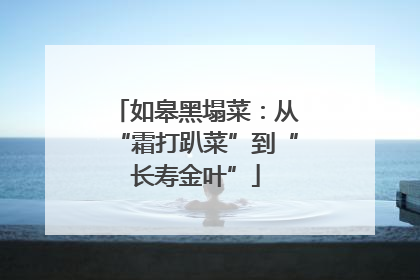 如皋黑塌菜：从“霜打趴菜”到“长寿金叶”