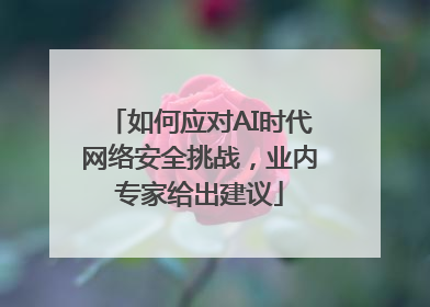 如何应对AI时代网络安全挑战，业内专家给出建议