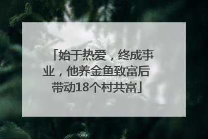 始于热爱，终成事业，他养金鱼致富后带动18个村共富