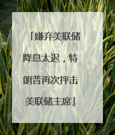 嫌弃美联储降息太迟，特朗普再次抨击美联储主席
