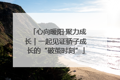 心向暖阳·聚力成长｜一起见证骄子成长的“破茧时刻”
