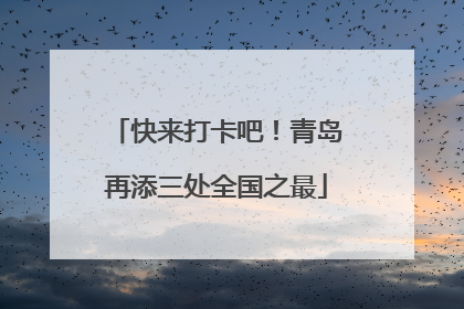 快来打卡吧！青岛再添三处全国之最