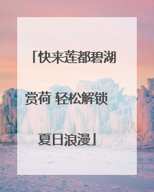 快来莲都碧湖赏荷 轻松解锁夏日浪漫