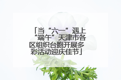 当“六一”遇上“端午”天津市各区组织台胞开展多彩活动迎庆佳节