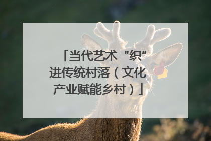 当代艺术“织”进传统村落（文化产业赋能乡村）