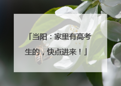 当阳：家里有高考生的，快点进来！