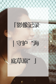 影像记录｜守护“海底草原”