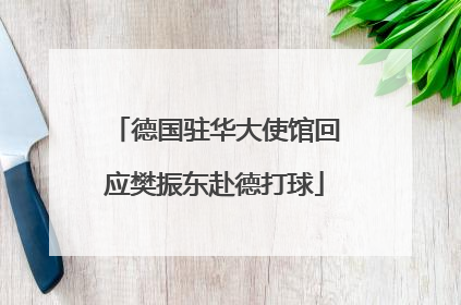 德国驻华大使馆回应樊振东赴德打球