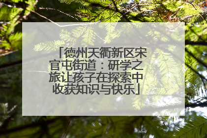 德州天衢新区宋官屯街道：研学之旅让孩子在探索中收获知识与快乐