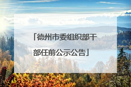 德州市委组织部干部任前公示公告