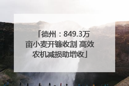 德州：849.3万亩小麦开镰收割 高效农机减损助增收