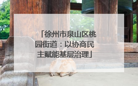 徐州市泉山区桃园街道：以协商民主赋能基层治理