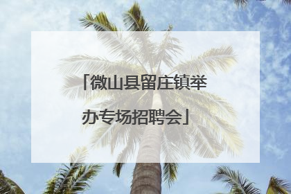 微山县留庄镇举办专场招聘会