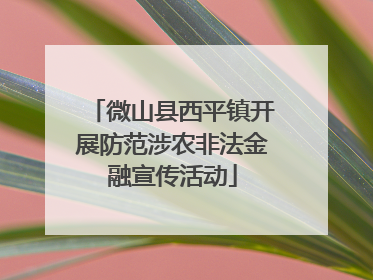 微山县西平镇开展防范涉农非法金融宣传活动