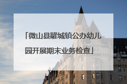 微山县驩城镇公办幼儿园开展期末业务检查