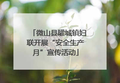 微山县驩城镇妇联开展“安全生产月”宣传活动