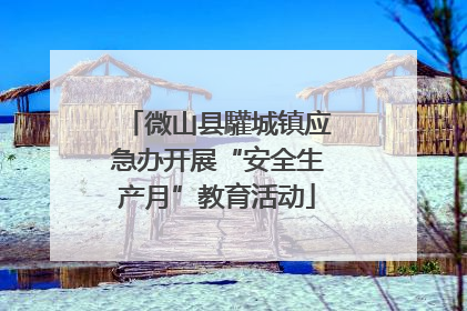 微山县驩城镇应急办开展“安全生产月”教育活动