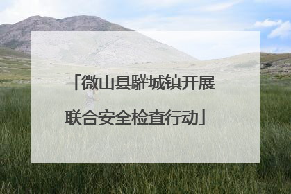 微山县驩城镇开展联合安全检查行动