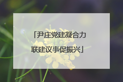 尹庄党建凝合力 联建议事促振兴