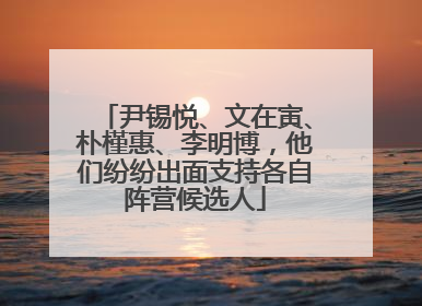 尹锡悦、文在寅、朴槿惠、李明博，他们纷纷出面支持各自阵营候选人