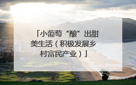 小葡萄“酿”出甜美生活（积极发展乡村富民产业）