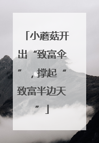 小蘑菇开出“致富伞”，撑起“致富半边天”