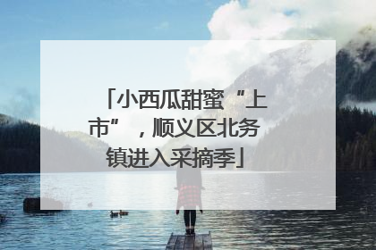 小西瓜甜蜜“上市”，顺义区北务镇进入采摘季
