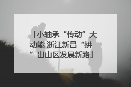 小轴承“传动”大动能 浙江新昌“拼”出山区发展新路