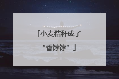 小麦秸秆成了“香饽饽”