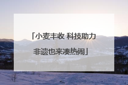 小麦丰收 科技助力 非遗也来凑热闹