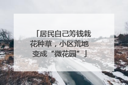居民自己筹钱栽花种草，小区荒地变成“微花园”