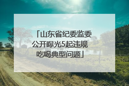 山东省纪委监委公开曝光5起违规吃喝典型问题