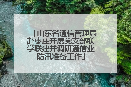 山东省通信管理局赴枣庄开展党支部联学联建并调研通信业防汛准备工作