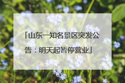 山东一知名景区突发公告：明天起暂停营业
