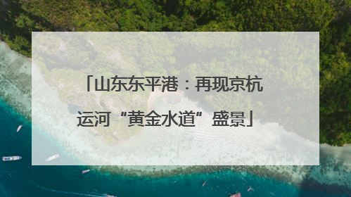 山东东平港：再现京杭运河“黄金水道”盛景