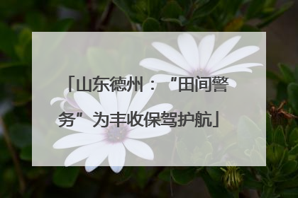山东德州：“田间警务”为丰收保驾护航