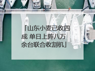 山东小麦已收四成 单日上阵八万余台联合收割机