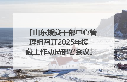 山东援藏干部中心管理组召开2025年援藏工作动员部署会议