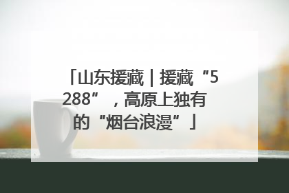 山东援藏｜援藏“5288”，高原上独有的“烟台浪漫”