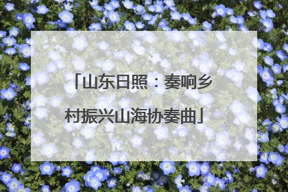 山东日照：奏响乡村振兴山海协奏曲