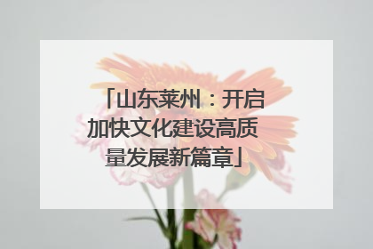 山东莱州：开启加快文化建设高质量发展新篇章