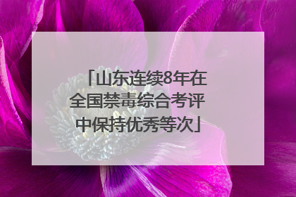 山东连续8年在全国禁毒综合考评中保持优秀等次