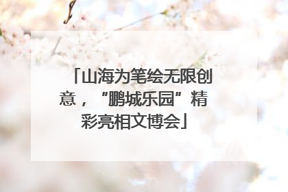 山海为笔绘无限创意，“鹏城乐园”精彩亮相文博会
