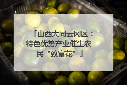 山西大同云冈区：特色优势产业催生农民“致富花”