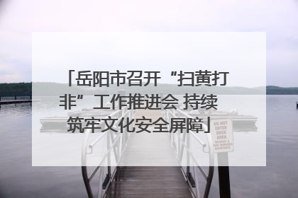 岳阳市召开“扫黄打非”工作推进会 持续筑牢文化安全屏障